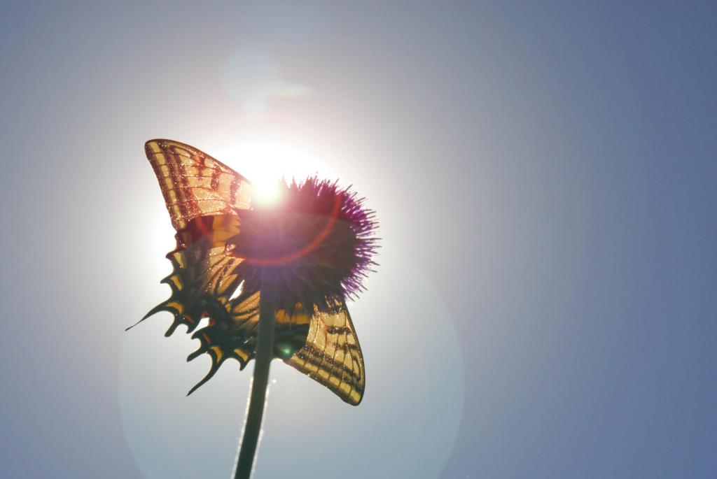 Finding the Strength of ‘I AM’ in Fear